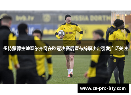 多特蒙德主帅泰尔齐奇在欧冠决赛后宣布辞职决定引发广泛关注 多特蒙德主帅泰尔齐奇在欧冠决赛后宣布辞职决定引发广泛关注