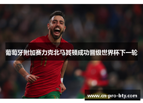 葡萄牙附加赛力克北马其顿成功晋级世界杯下一轮