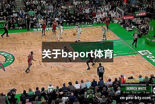 关于bsport体育
